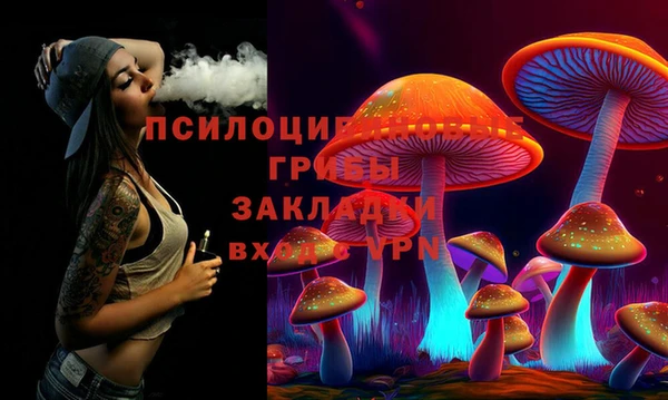дживик Нефтегорск