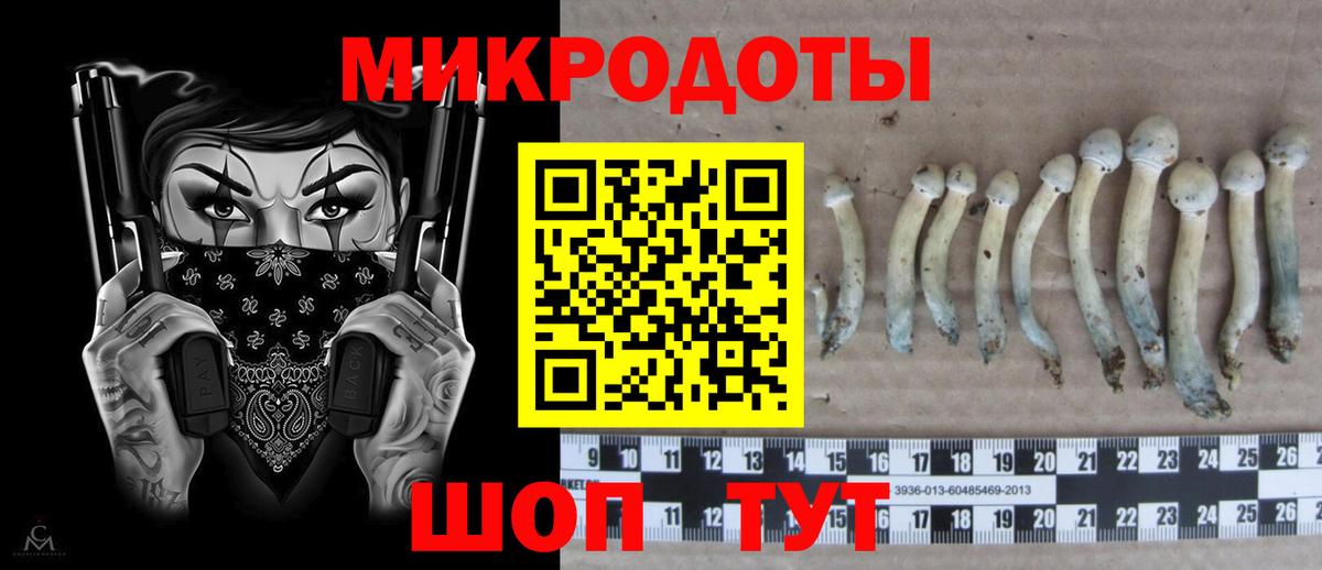 Галлюциногенные грибы Magic Shrooms Кириши